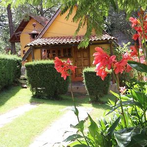 Cabañas Lupita 22